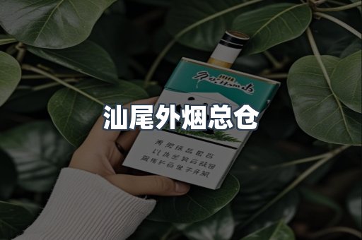 汕尾外烟总仓